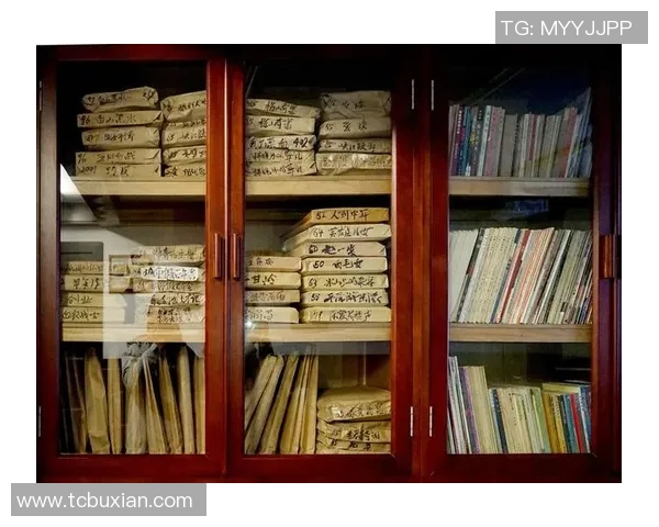 足球圣殿典藏版百大球星荣耀榜揭晓传奇人物的辉煌足迹与历史印记