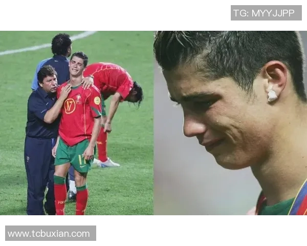 足球巨星的辉煌与挑战：从绿茵场的巅峰到背后的艰辛历程